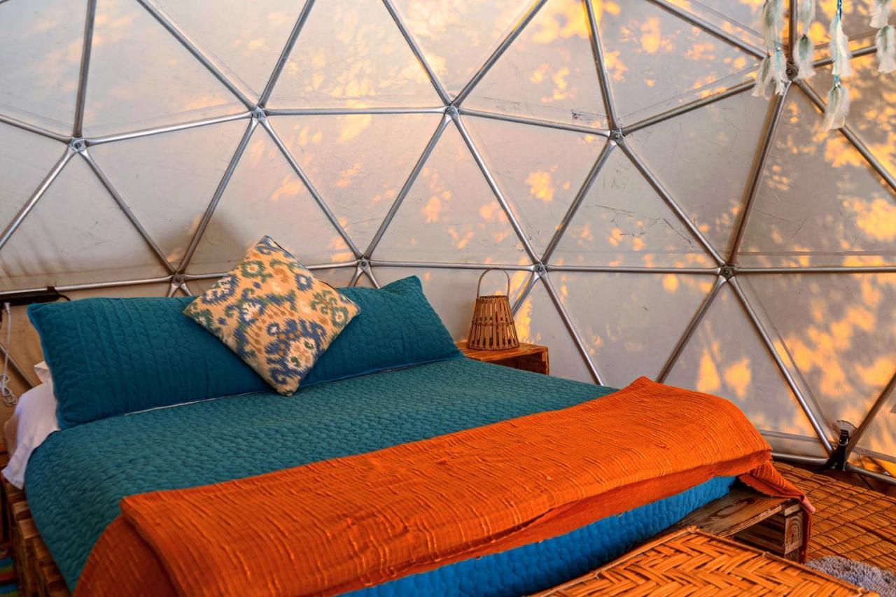 Tente de luxe Alma De Campo Glamping - Laguna De *