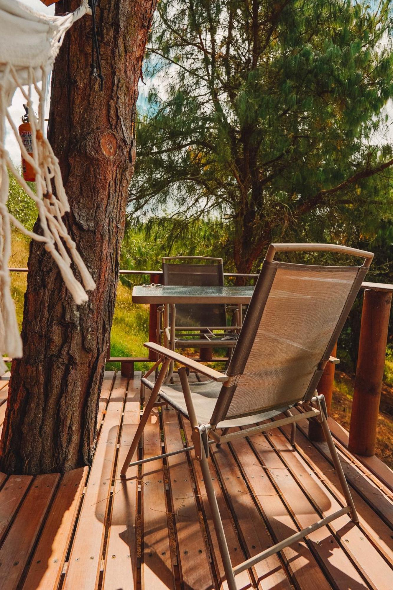 Alma De Campo Glamping - Laguna De *