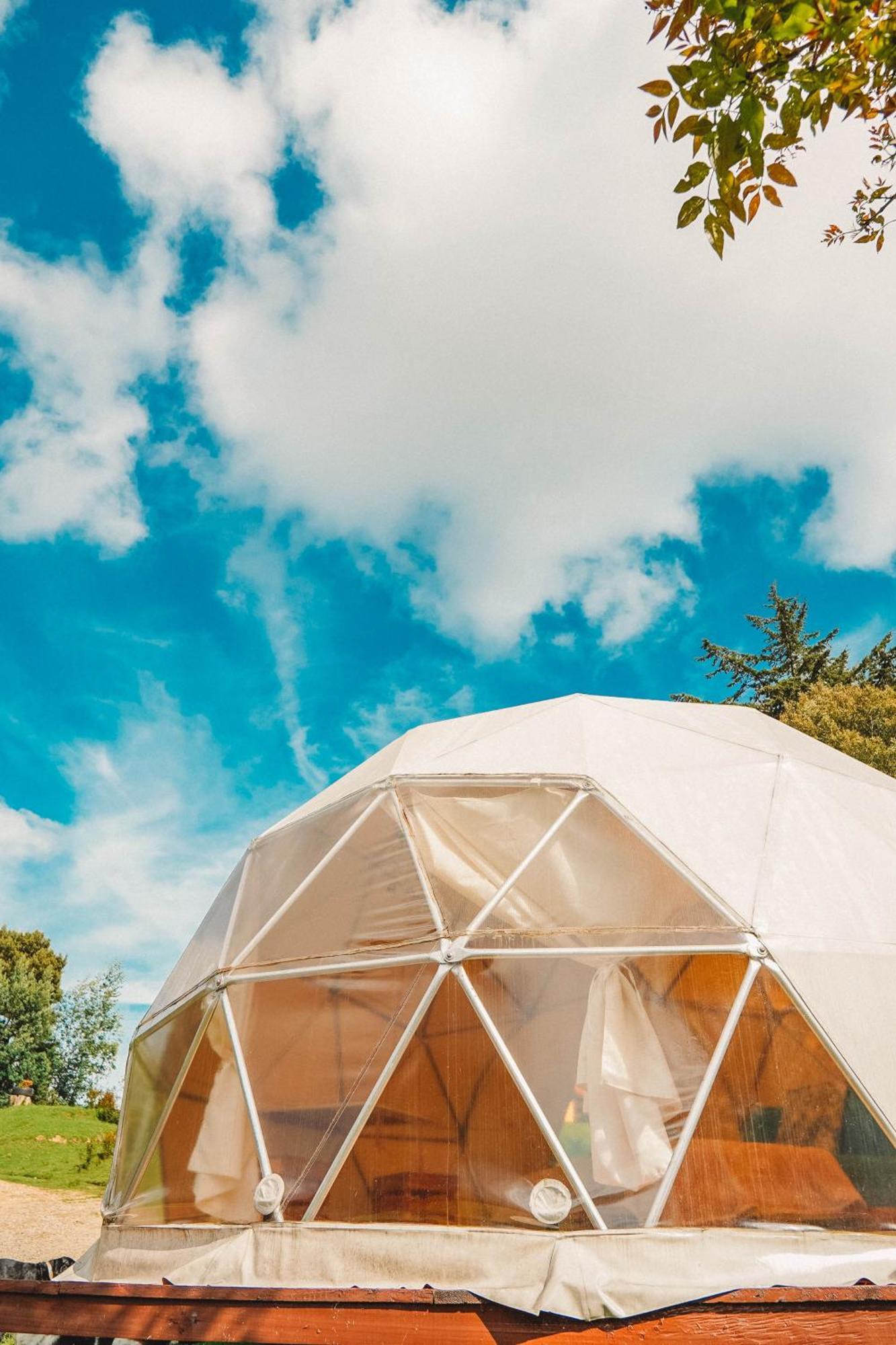Tente de luxe Alma De Campo Glamping - Laguna De